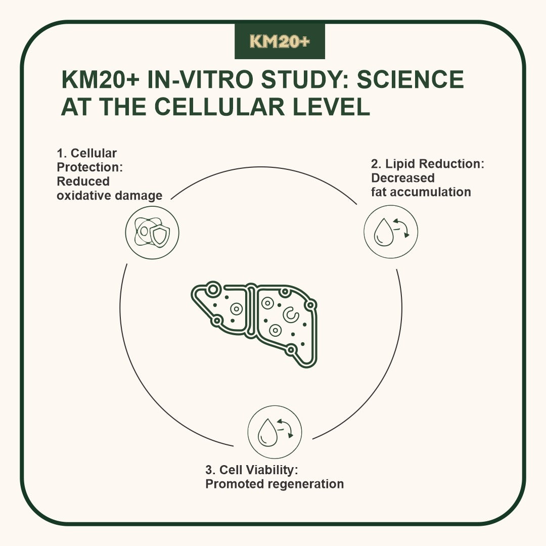 Protect and Repair Your Liver — Naturally