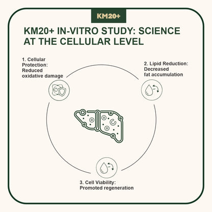 Protect and Repair Your Liver — Naturally